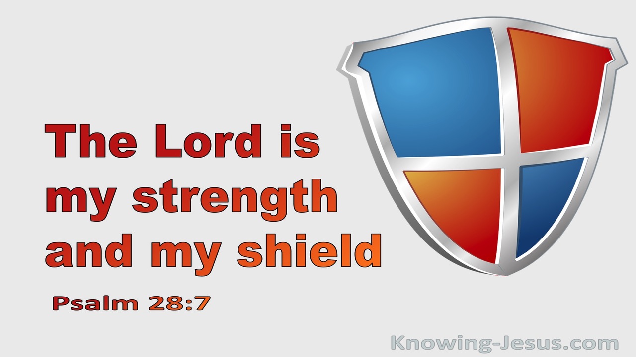 Psalm 28:7 The Lord Is My Strength And Shield (gray)